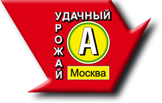 АЭЛИТА АЭЛИТА