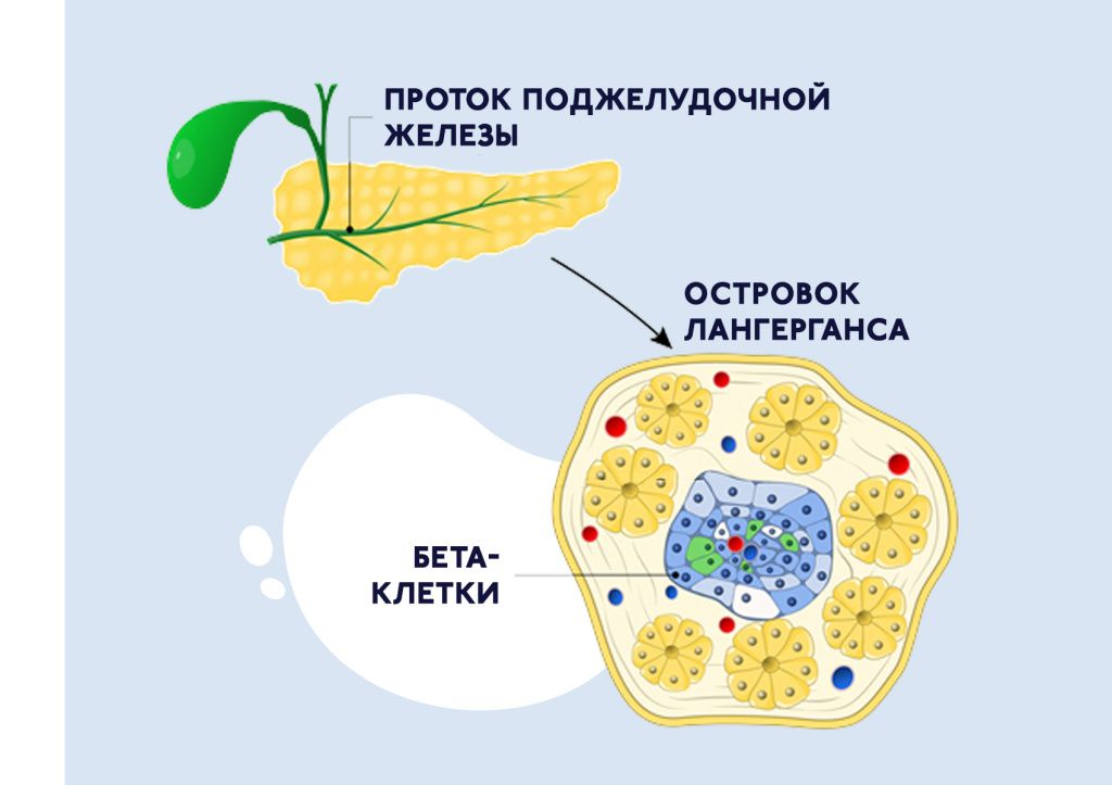БЛОГ-33.jpg БЛОГ-33.jpg