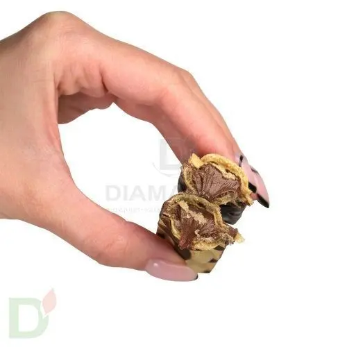 Батончик Snaq Fabriq вафельный с шоколадно-ореховой пастой БЕЗ САХАРА 20гр.