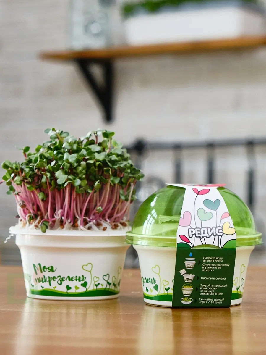 Набор для выращивания Здоровья клад Редис