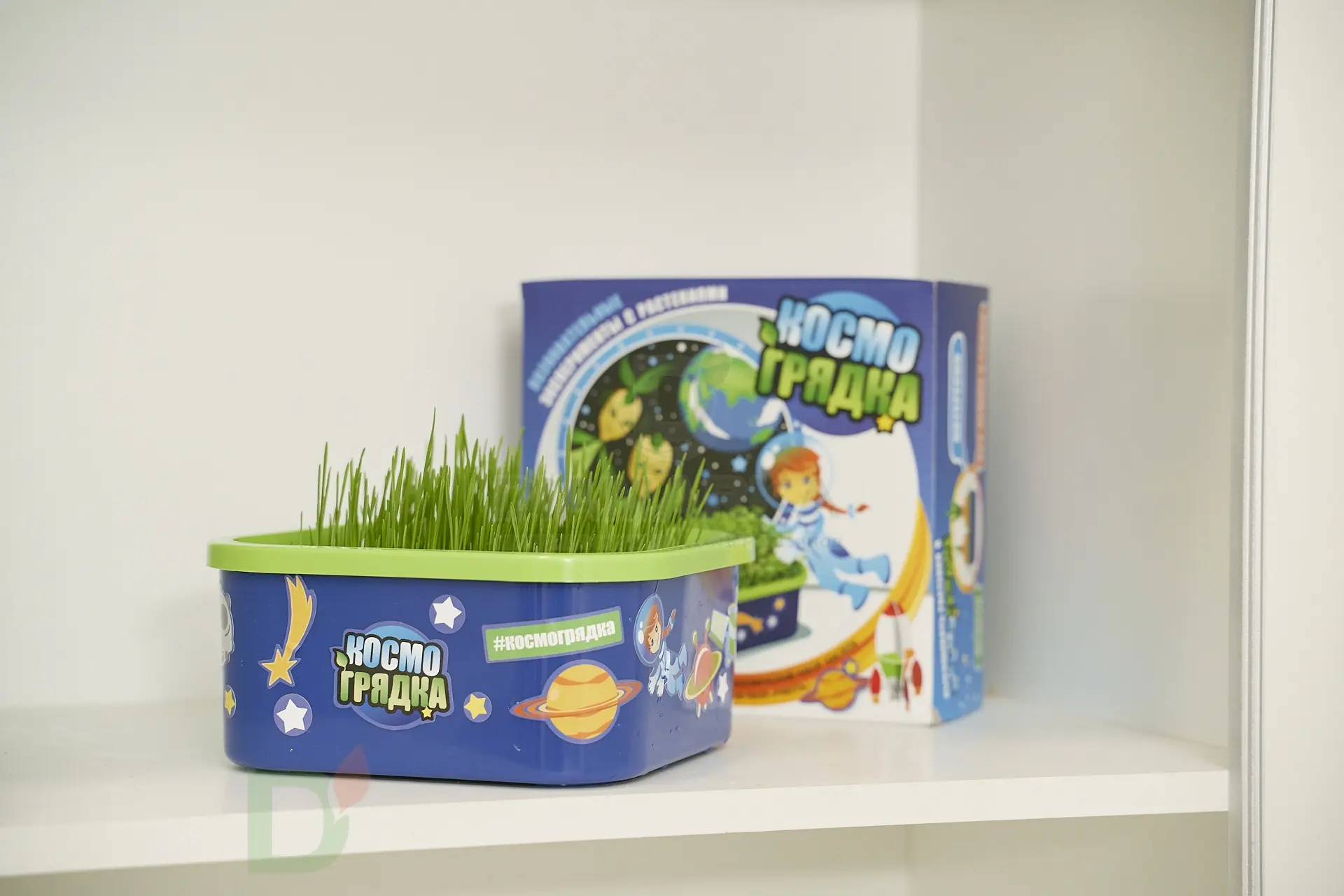 Проращиватель Космогрядка для детей Здоровья клад